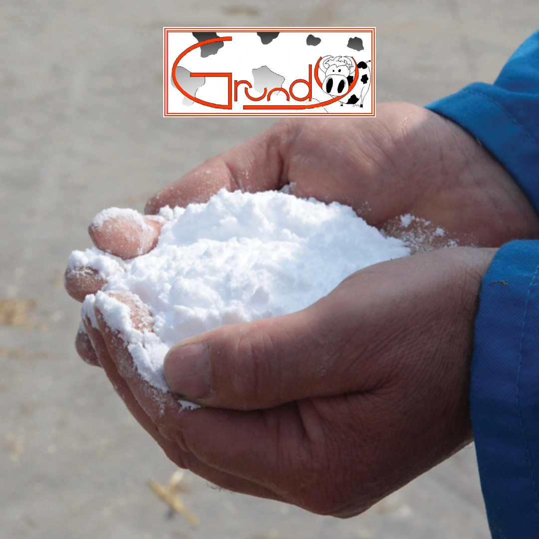Bicarbonato di SodioSacco 25kg